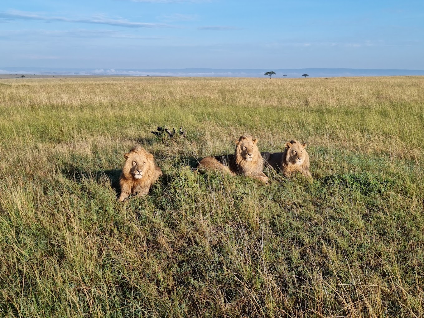 Masaai Mara Reserve